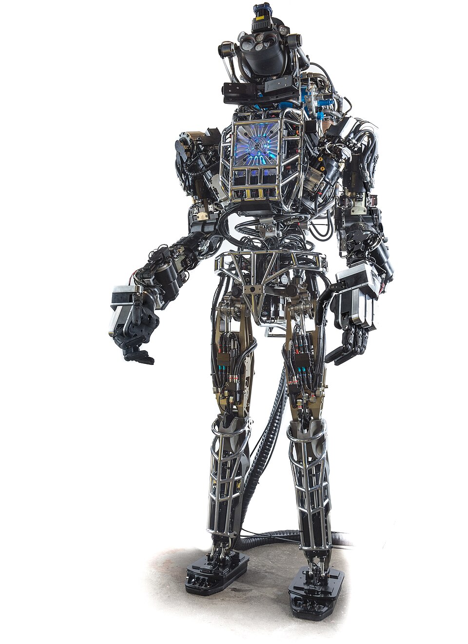 Atlas frontview